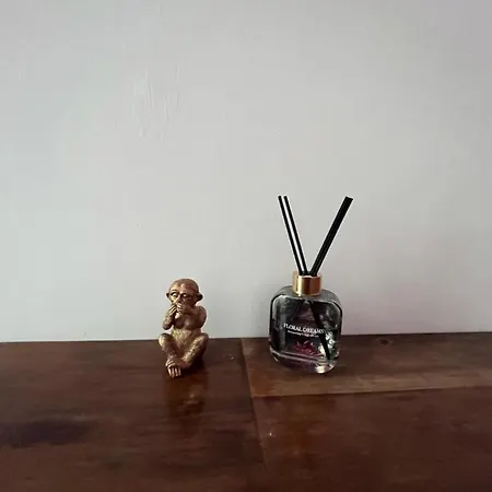 H. Kloss Apartament *